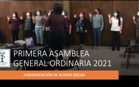 ASAMBLEA GENERAL ORDINARIA  01-2021