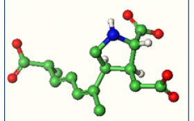 La Molécula del Mes:  Acido Domoico
