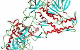 La Molécula del Mes:  Botox