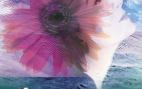 AGENDA 2018 YA DISPONIBLE