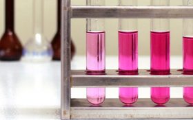 Estatutos de la Asociación AFQF