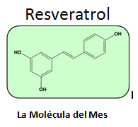 Resveratrol- La Molécula del Mes